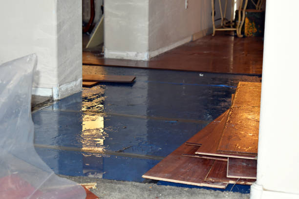 Professional Basement Water Removal technician working in Rimforest, CA
